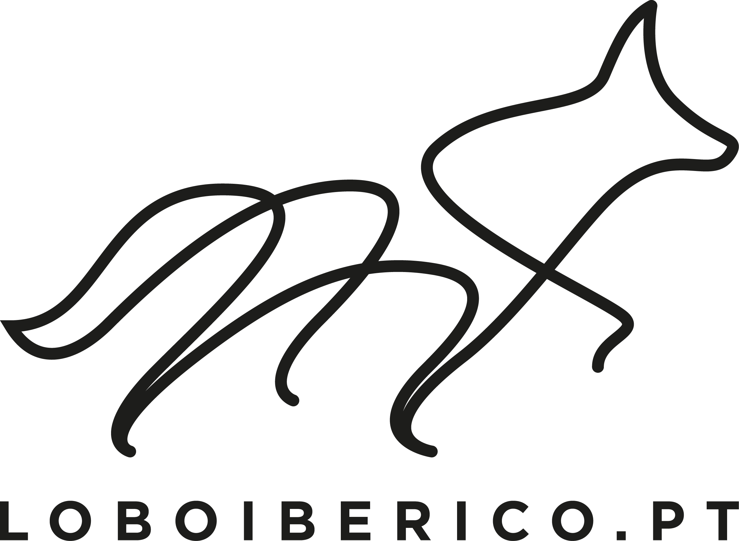 loboiberico