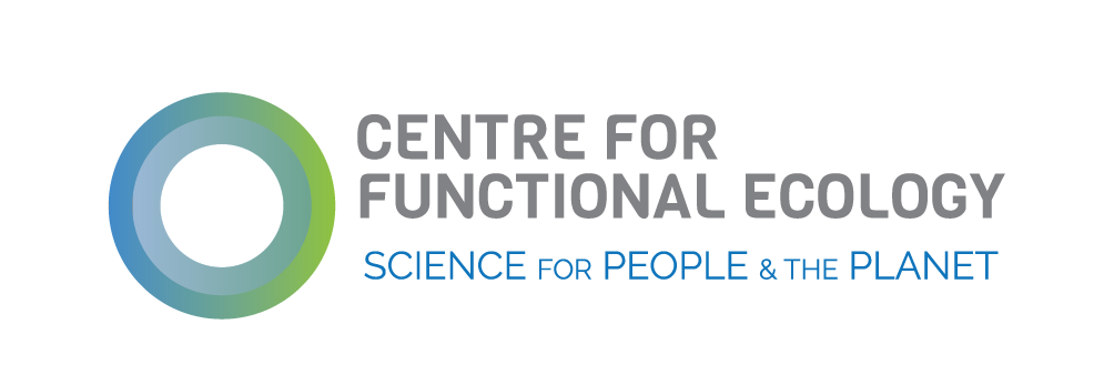 cfe