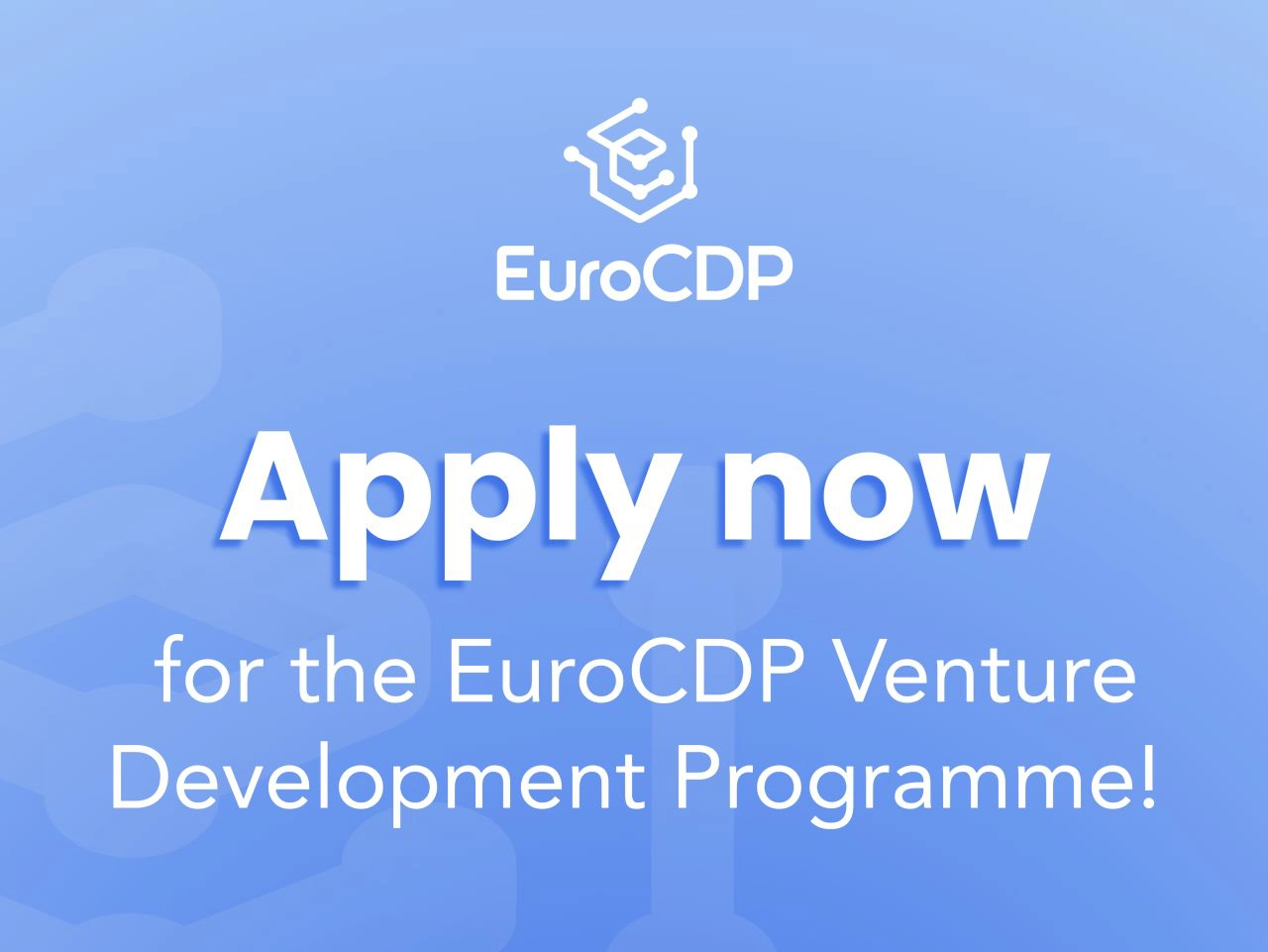 Euro Chips Design Platform Venture Development Programme