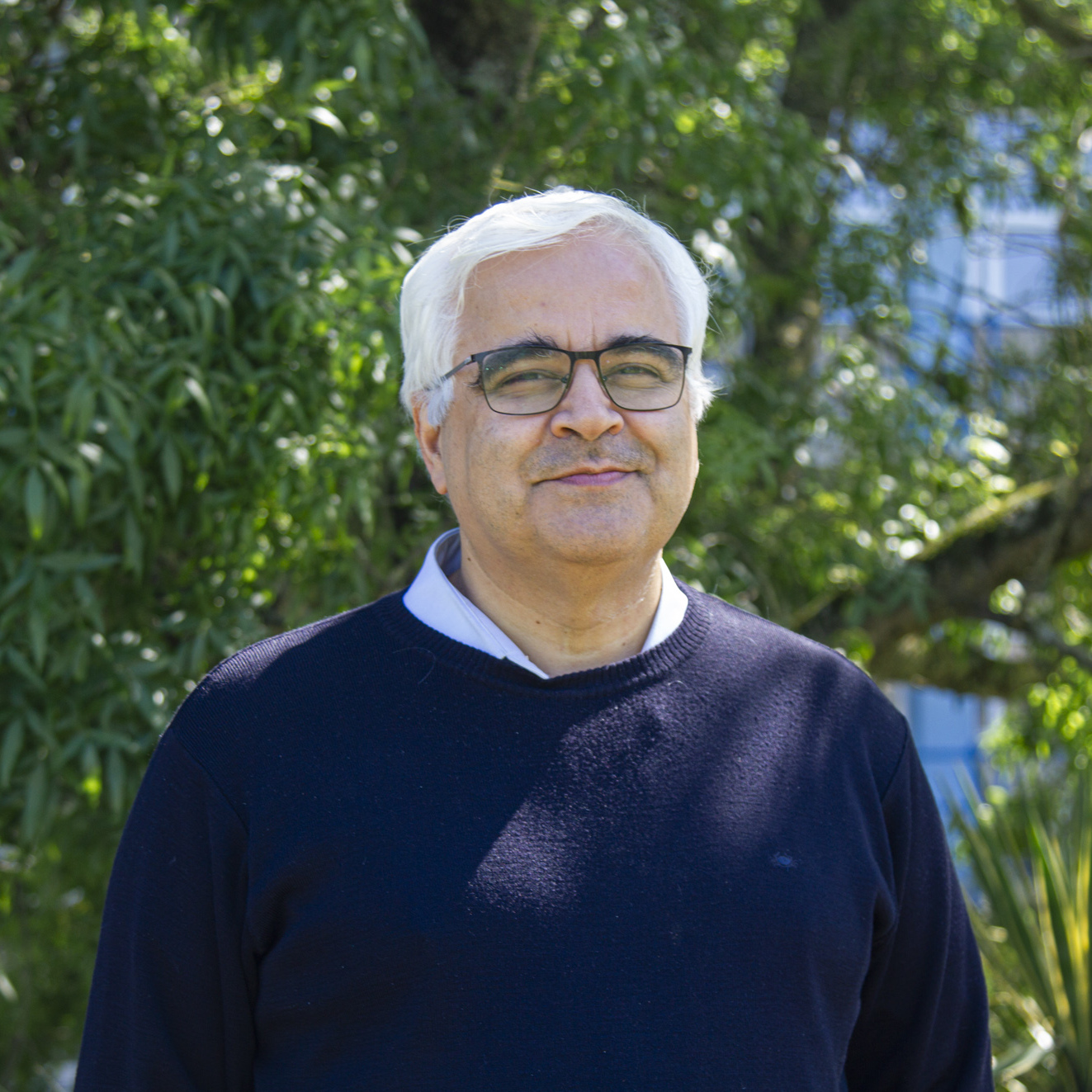 Ricardo Trigo