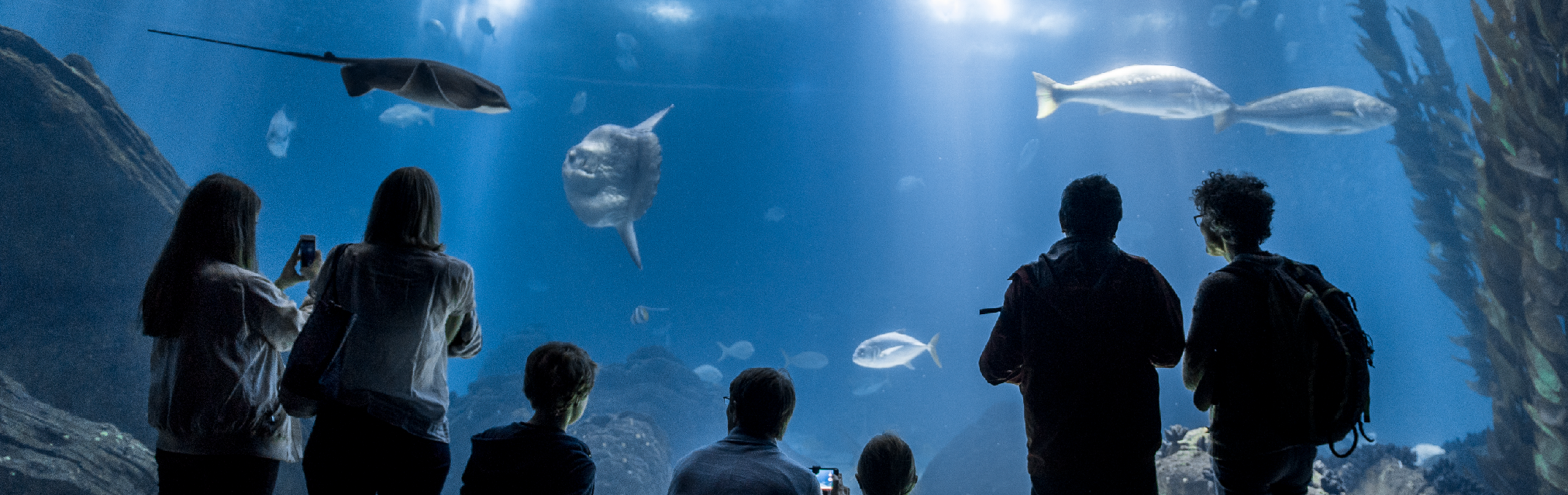 Ocean&aacute;rio de Lisboa