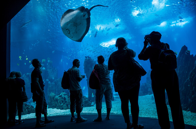Ocean&aacute;rio de Lisboa