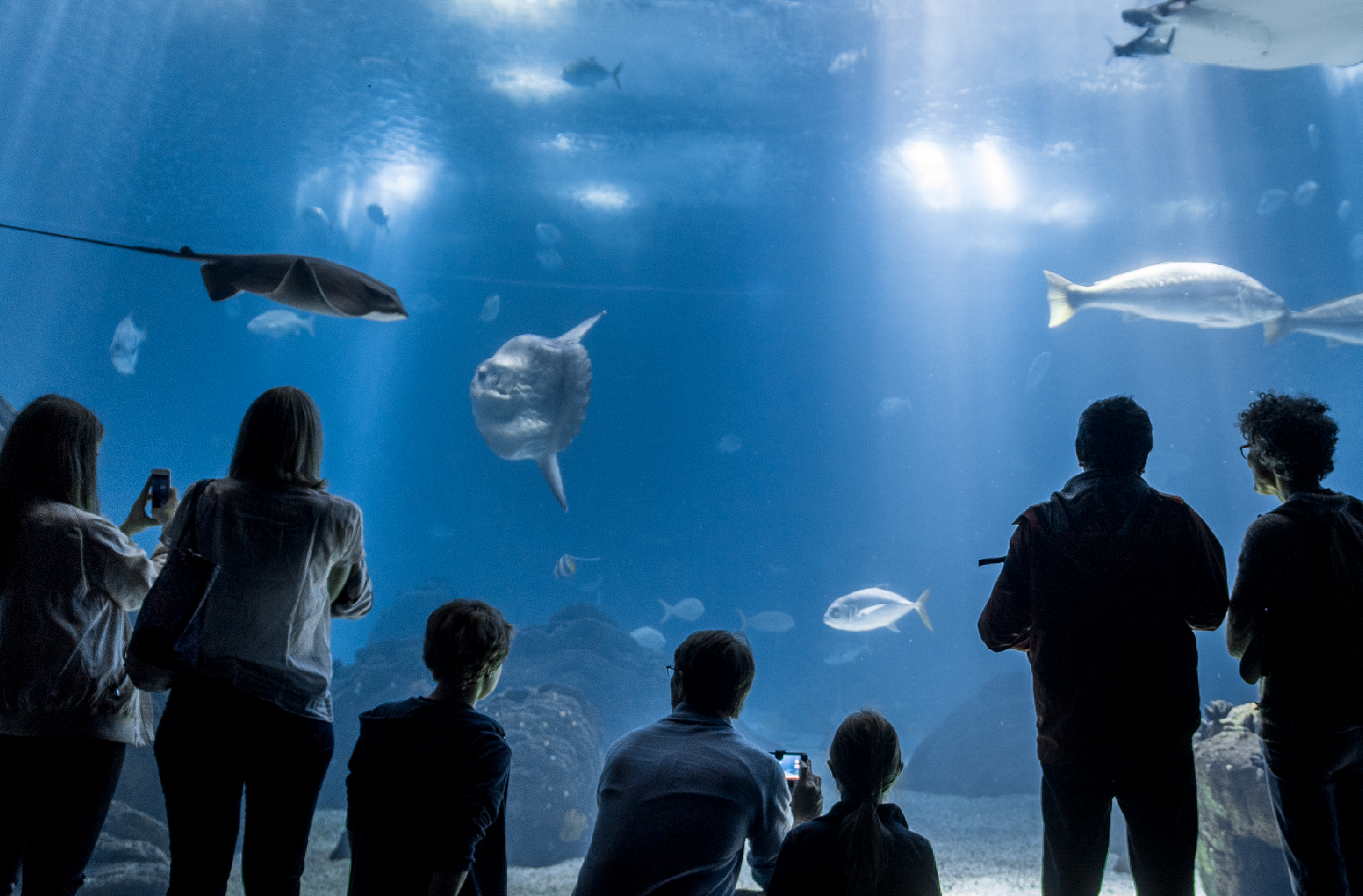 Ocean&aacute;rio de Lisboa