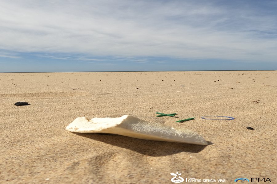 À procura de microplásticos na areia da praia (Dia 2)