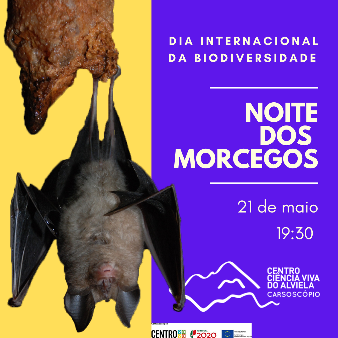 Noite dos Morcegos - Dia Internacional da Biodiversidade