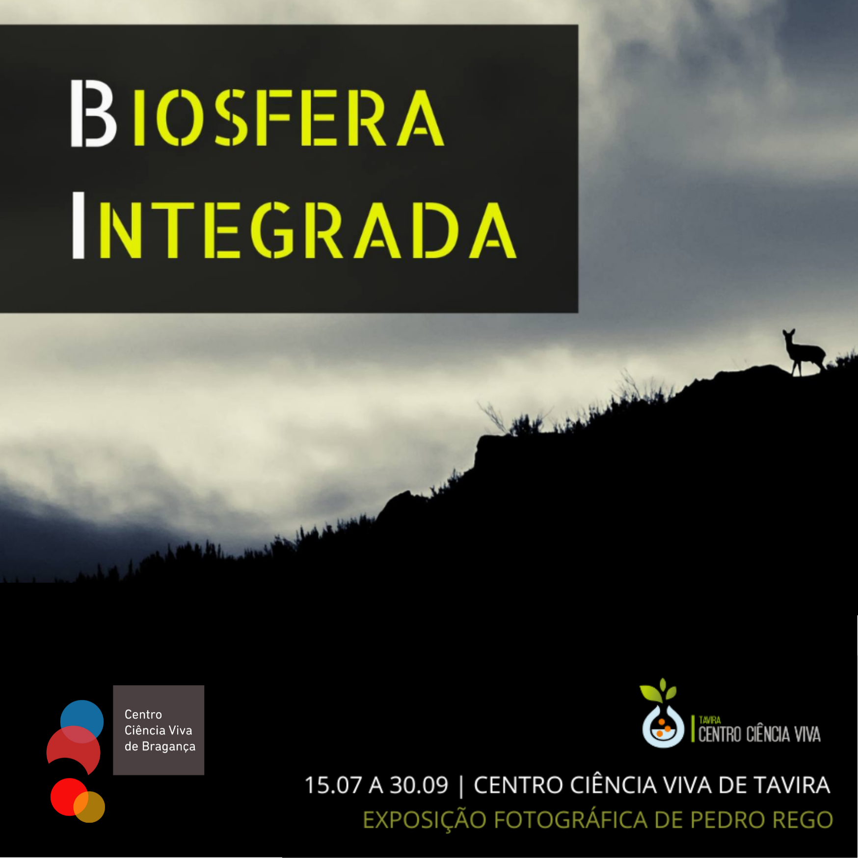 B.I. BIOSFERA INTEGRADA  -  Exposição temporária