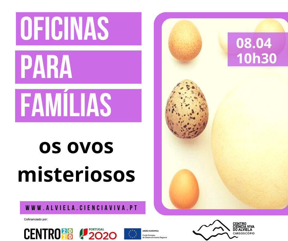 Oficina para famílias - Os ovos misteriosos