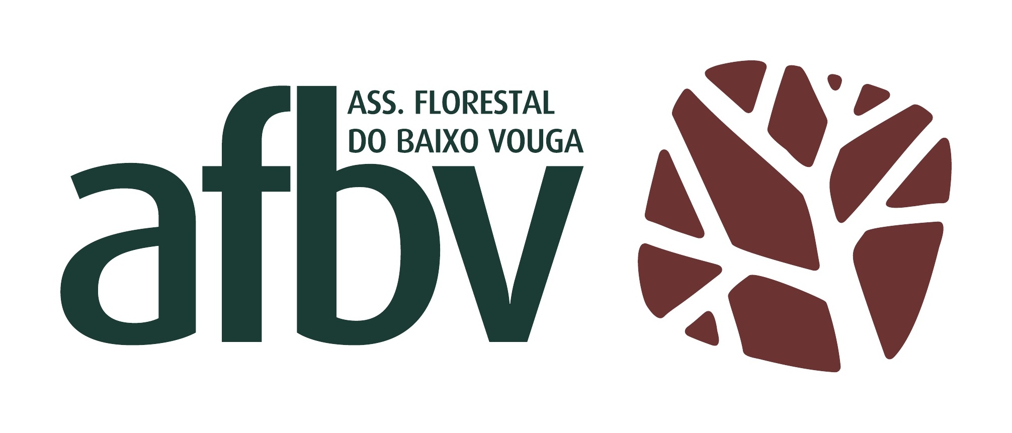 afbv associacao florestal do baixo vouga