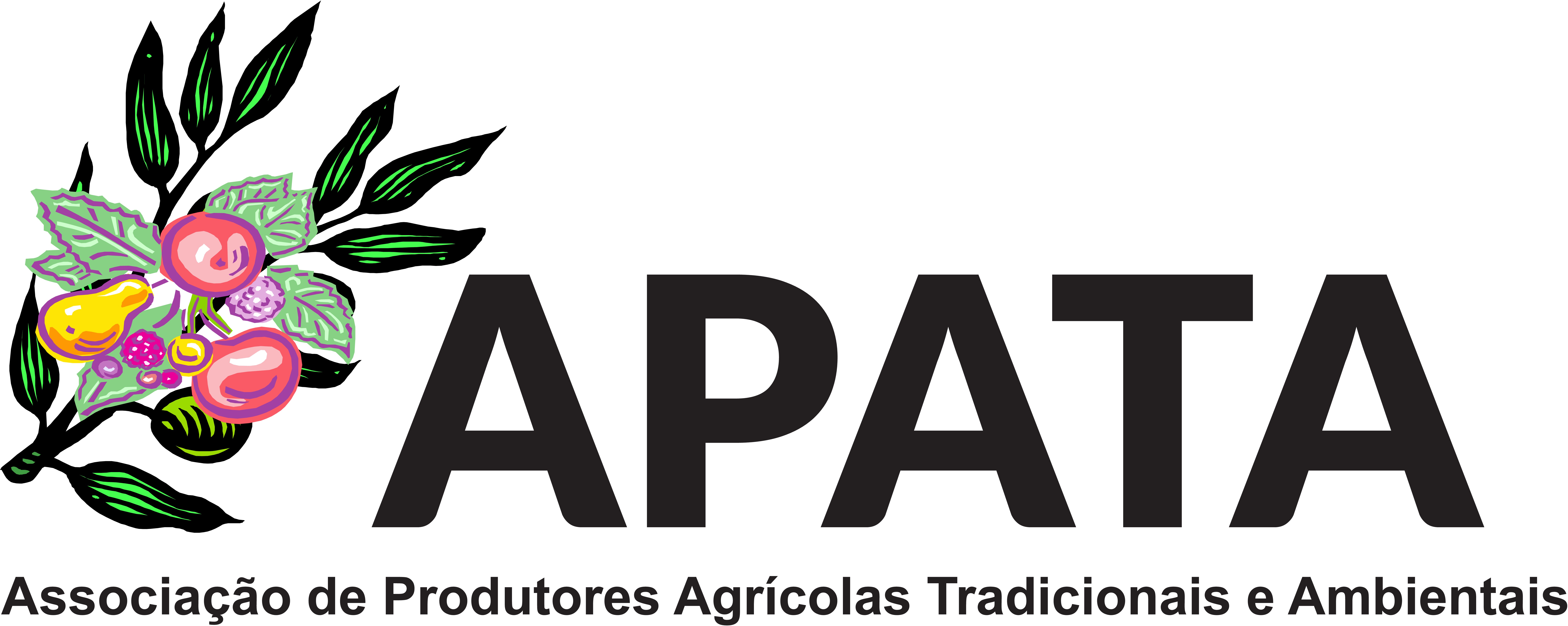 apata associacao de produtores agricolas tradicionais e ambientais