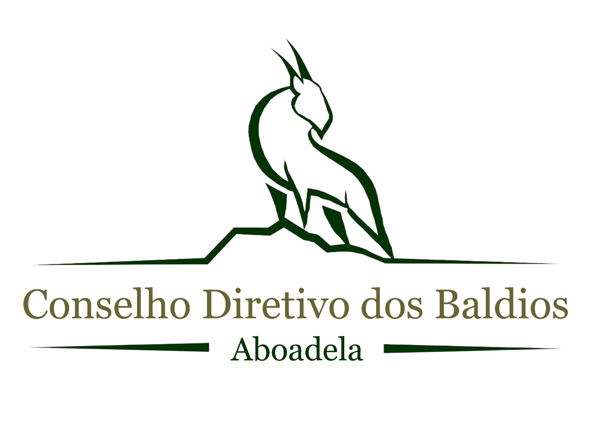 baldios de aboadela