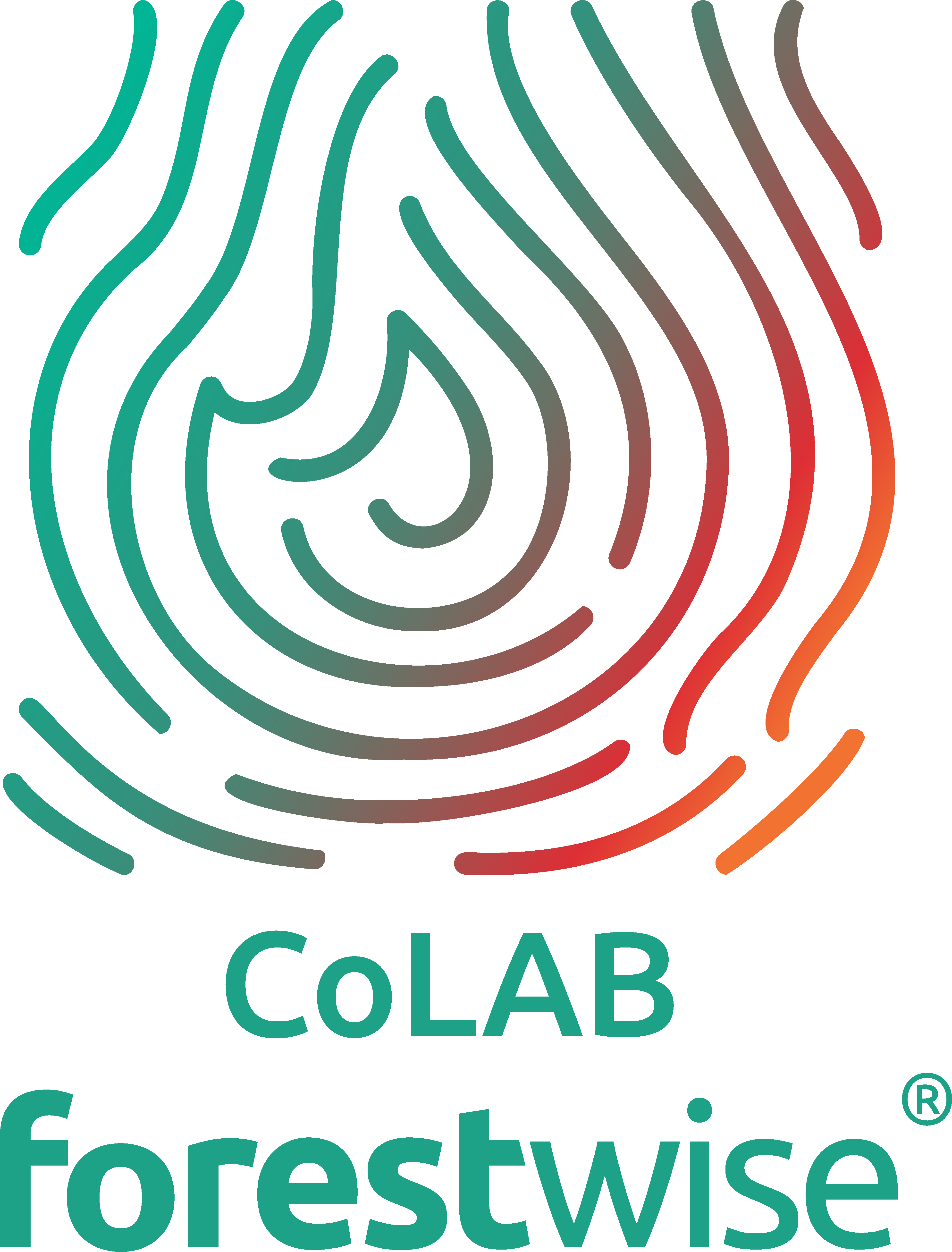 colab forestwise