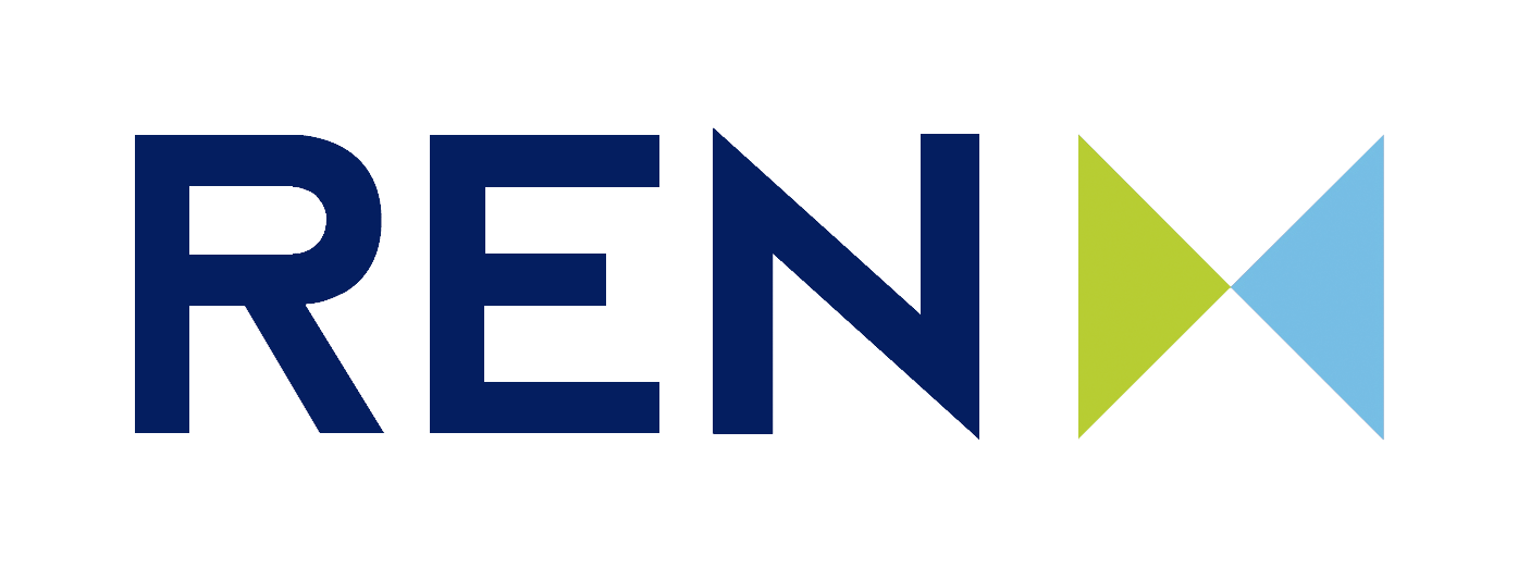 ren redes energeticas nacionais